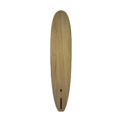 Firewire Wingnut Noserider 9´0
